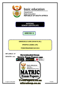 IsiNdebele HL P2 Feb-March 2014.pdf